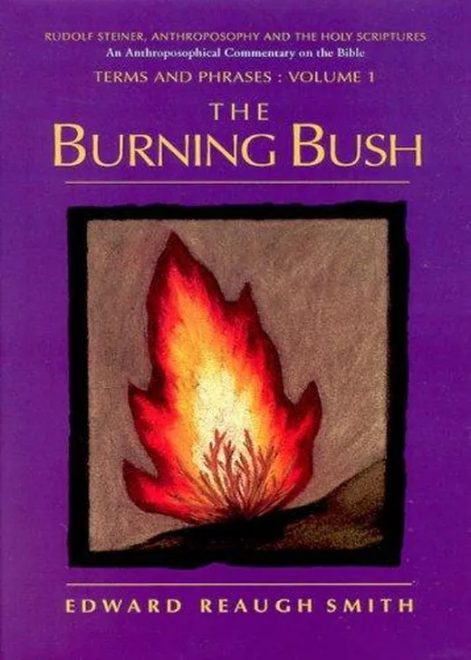 The Burning Bush (English Edition)