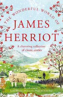The Wonderful World of James Herriot