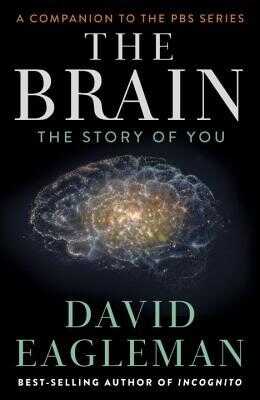 The Brain — David Eagleman