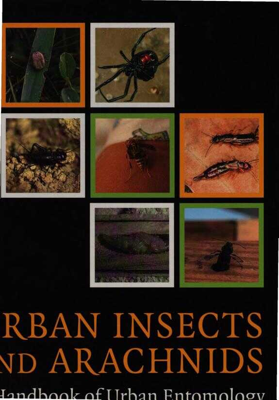 Urban Insects and Arachnids