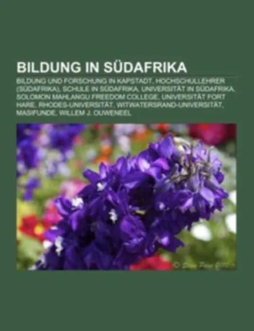 Bildung in Südafrika