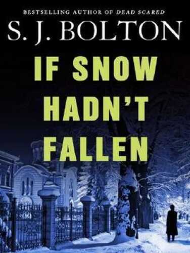 If Snow Hadn't Fallen (Lacey Flint series)