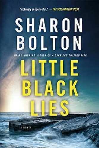 Little Black Lies: A Novel