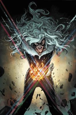 Black Cat Vol. 6