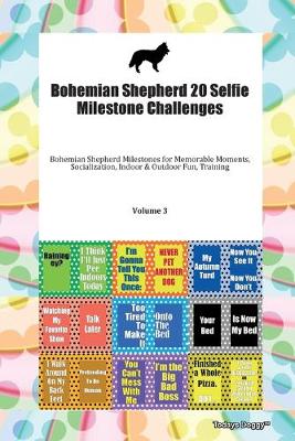 Bohemian Shepherd 20 Selfie Milestone Challenges Bohemian Shepherd Milestones for Memorable Moments, Socialization, Indoor & Outdoor Fun, Training Volume 3
