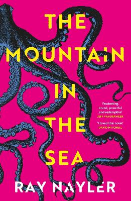 Mountain in the Sea