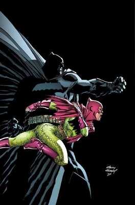 Batman: The Dark Knight