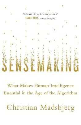 Sensemaking