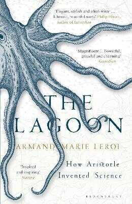 The Lagoon