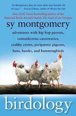 A Birdology