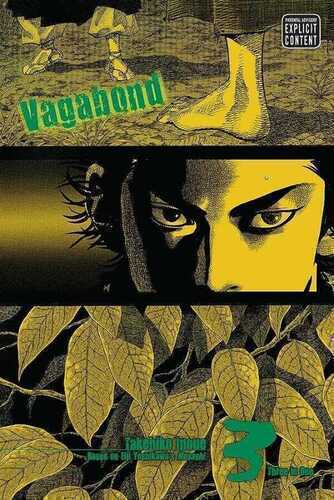 Vagabond 03