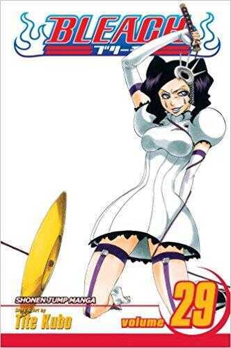 Bleach Vol. 29