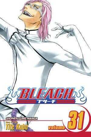 Bleach, Vol. 31