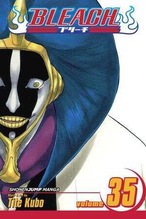 Bleach, Vol. 35