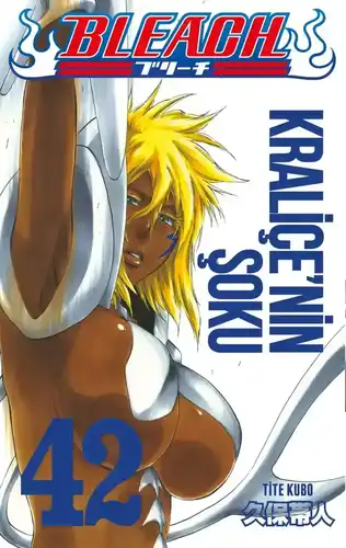 Bleach, Vol. 42