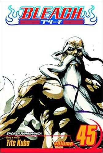 Bleach, Vol. 45