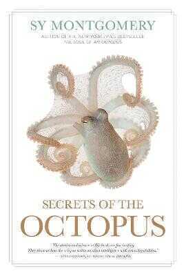 Secrets of the Octopus