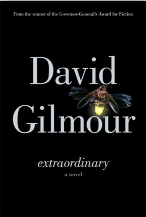 Extraordinary — David Gilmour