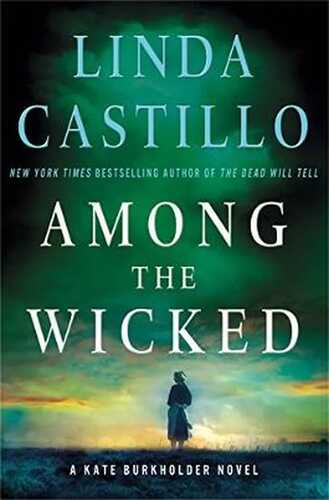 Among the Wicked: A Kate Burkholder Novel (English Edition)