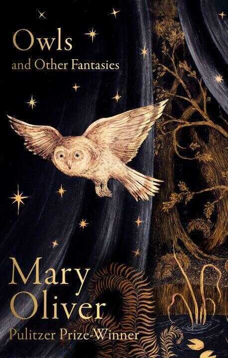 Owls and Other Fantasies