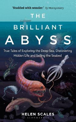 Brilliant Abyss