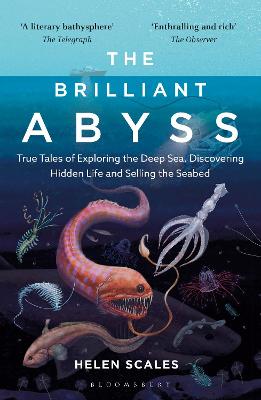 Brilliant Abyss