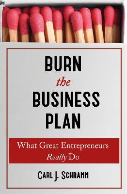 Burn The Business Plan