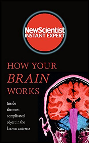 How Your Brain Works