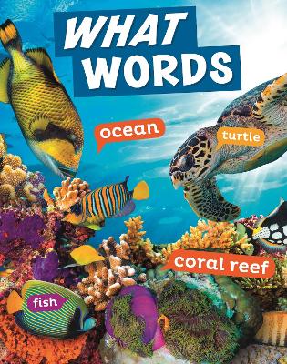 What Words