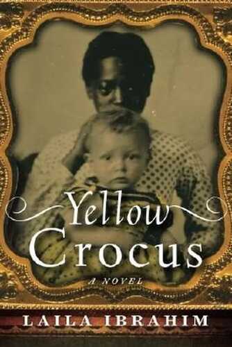 Yellow Crocus