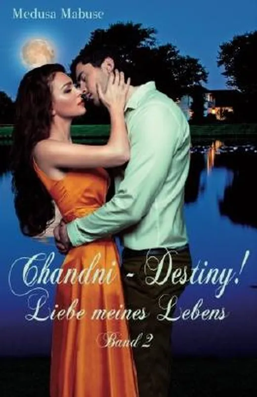 Chandni - Destiny! Liebe meines Lebens