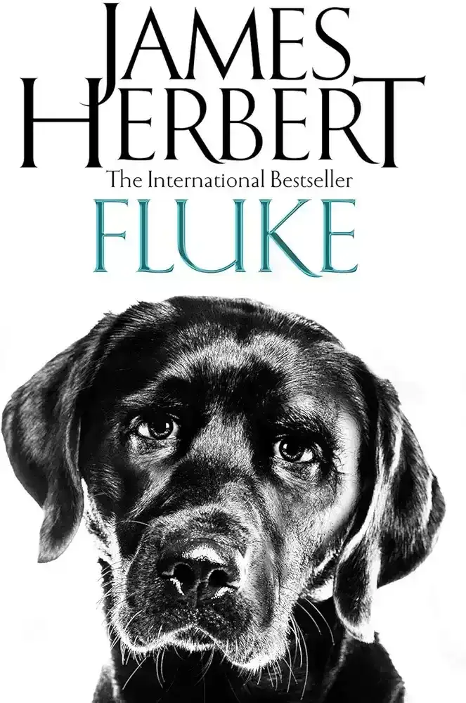 Fluke