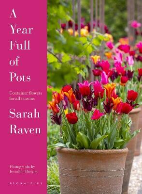 A Year Full of Pots