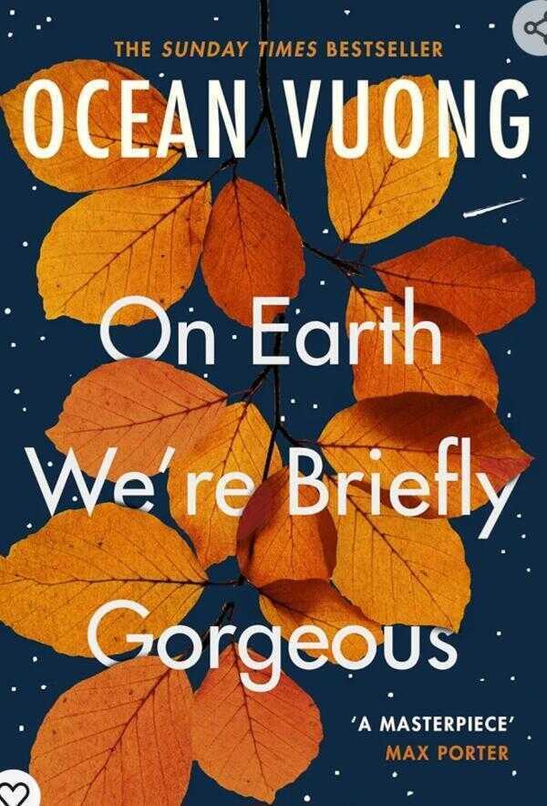 On Earth We're Briefly Gorgeous