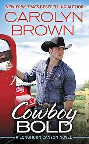 Cowboy Bold (Longhorn Canyon, 1, Band 1)