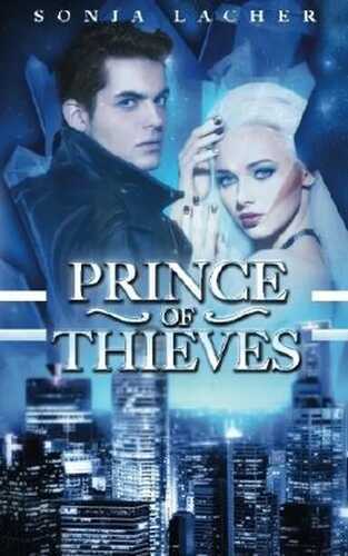 Prince of Thieves (Chain of Memories)