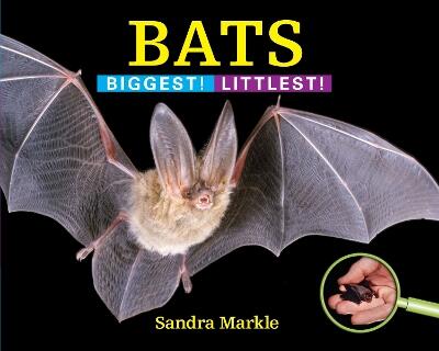 Bats