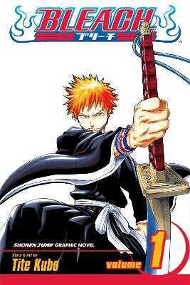 Bleach 01