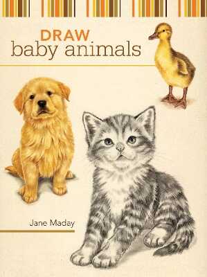 Draw Baby Animals
