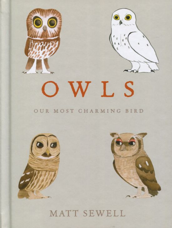 Owls: Our Most Charming Bird