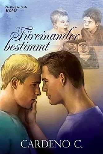 Füreinander bestimmt (Serie Home 3)