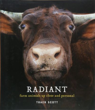 Radiant: Farm Animals Up Close and Personal