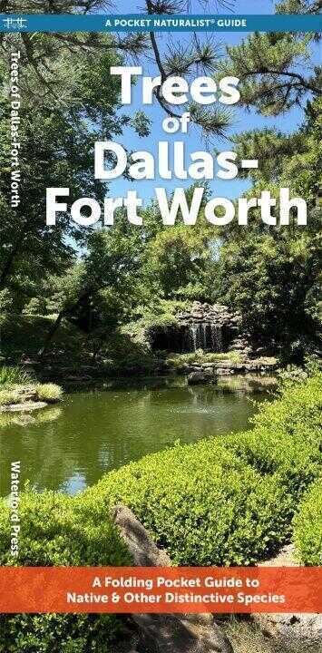 Dallas Trees