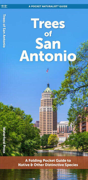 San Antonio Trees