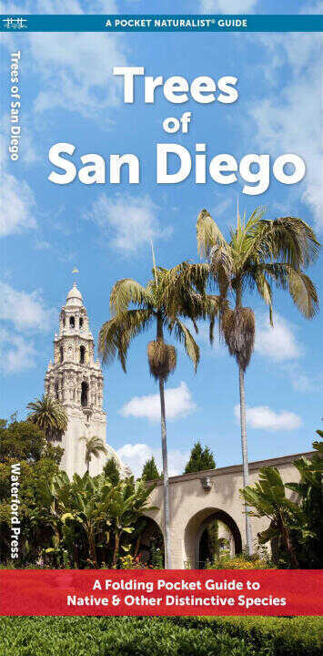 San Diego Trees