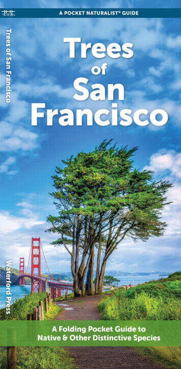 San Francisco Trees