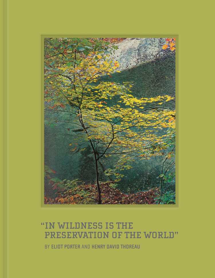 In Wilderness