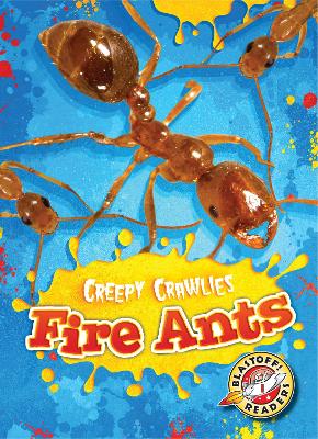 Fire Ants