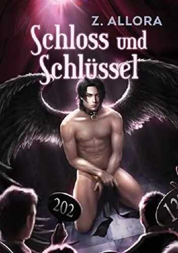 Schloss und Schlüssel (Verschlungene Träume 1)