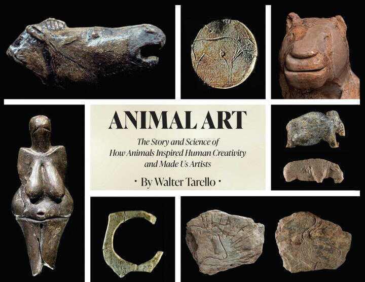 Animal Art